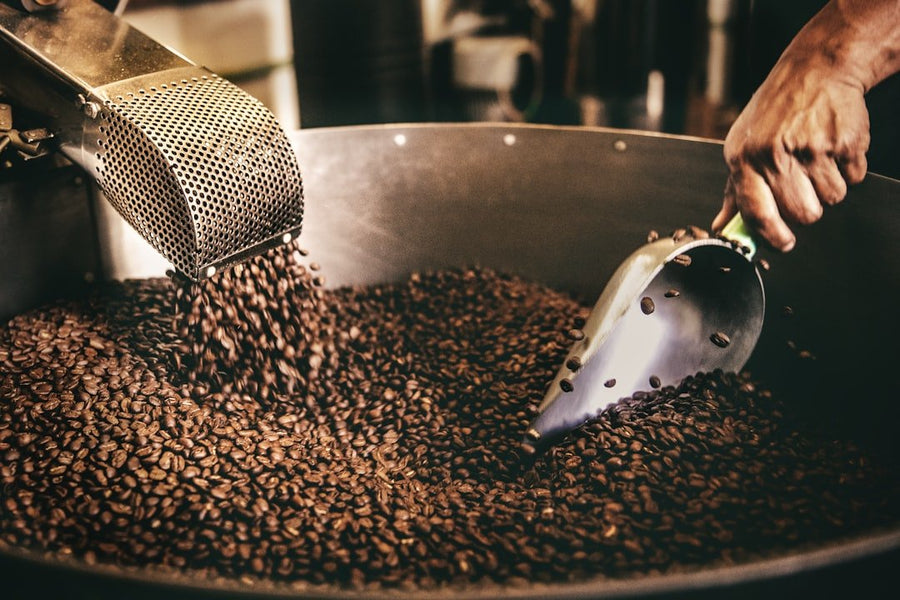 PT Aneka Coffee Industry's logo alongside coffee beans, illustrating its impact on the global coffee supply chain.