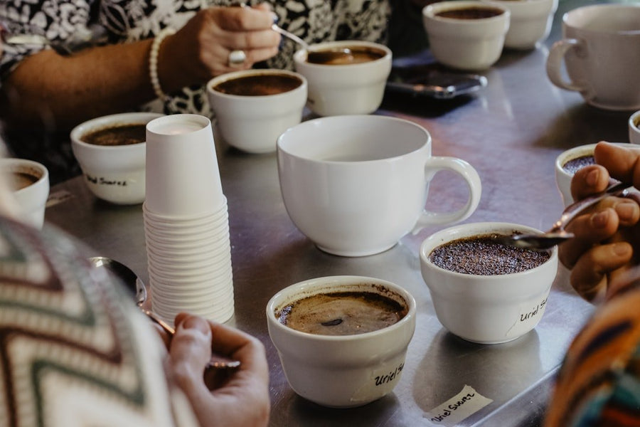 A barista prepares a specialty coffee drink, showcasing innovative brewing techniques and sustainable ingredients reflecting 2026 coffee trends.