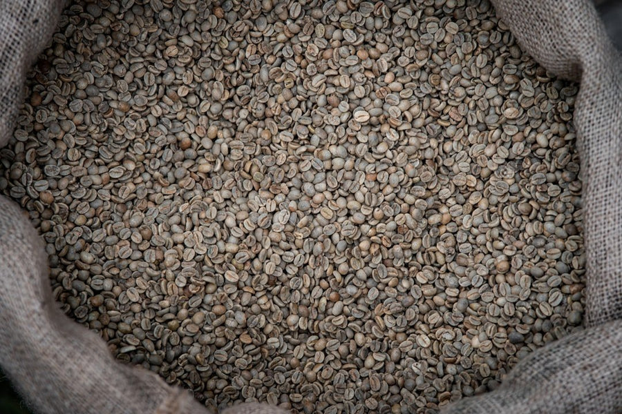 Coffee beans and a steaming cup of coffee, symbolizing new research findings on coffee's health benefits and implications.