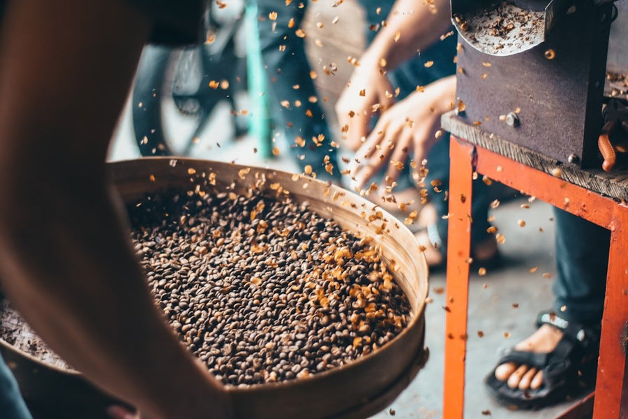 AI technology analyzes coffee beans, enhancing quality control processes in farming, ensuring optimal flavor and consistency in production.