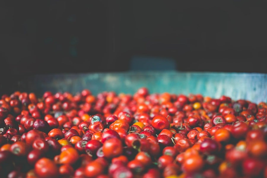 Comparison chart illustrating the differences between washed and natural coffee processing methods, highlighting flavor profiles and characteristics.